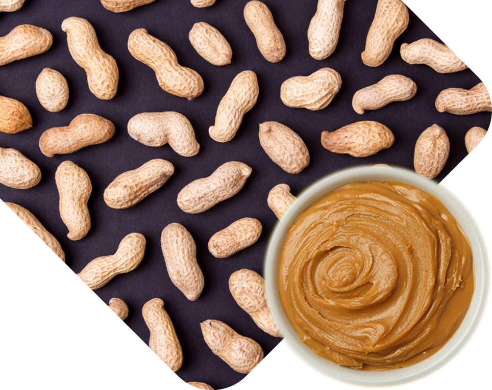 From Farm To Jar The Journey Of Private Label Peanut Butter