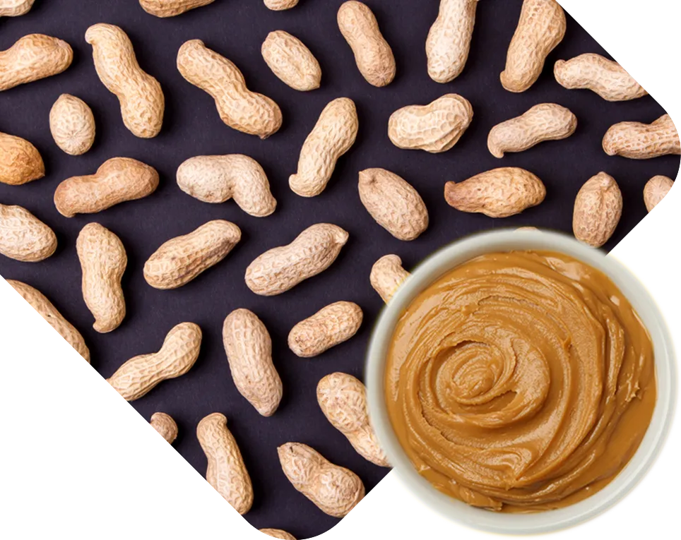 From Farm To Jar: The Journey Of Private Label Peanut Butter